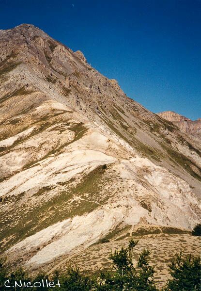 Trias : Gypse et Dolomie